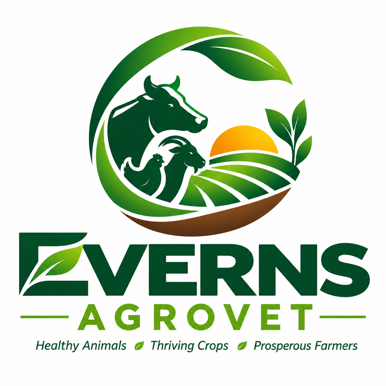 System Logo